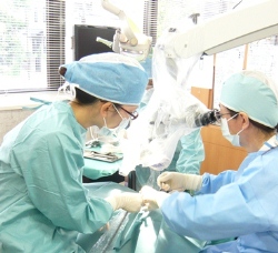 マイクロスコープによる歯周外科手術